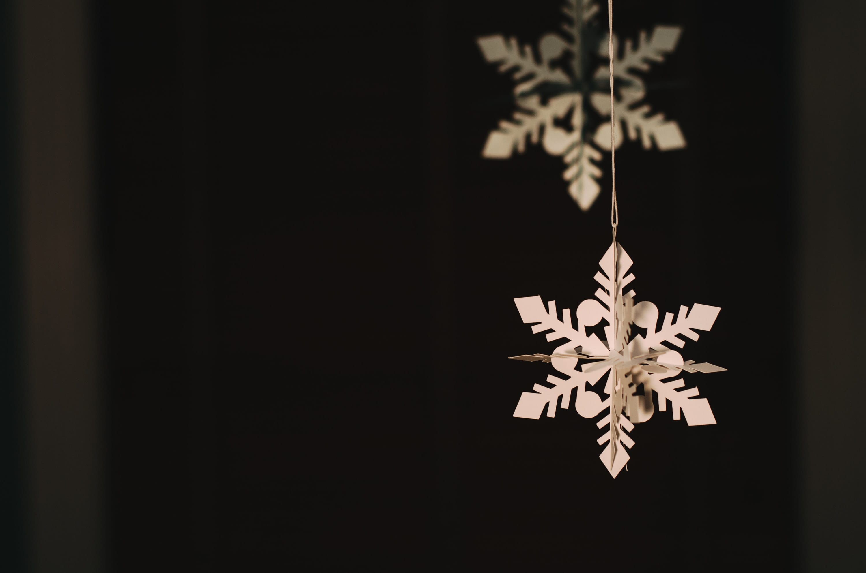 Plutus Awards Weekly Showcase: December 25, 2020