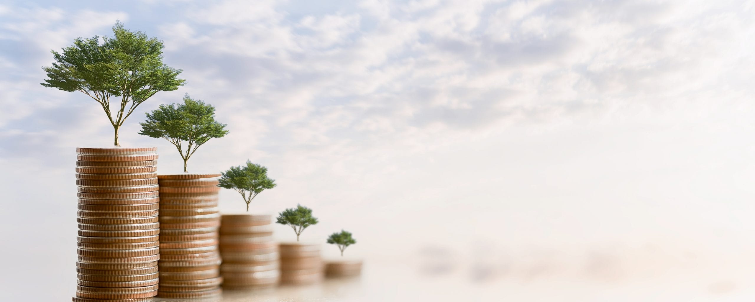 Money Growing